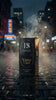 DIZSOL WINTER OUD 100 ML