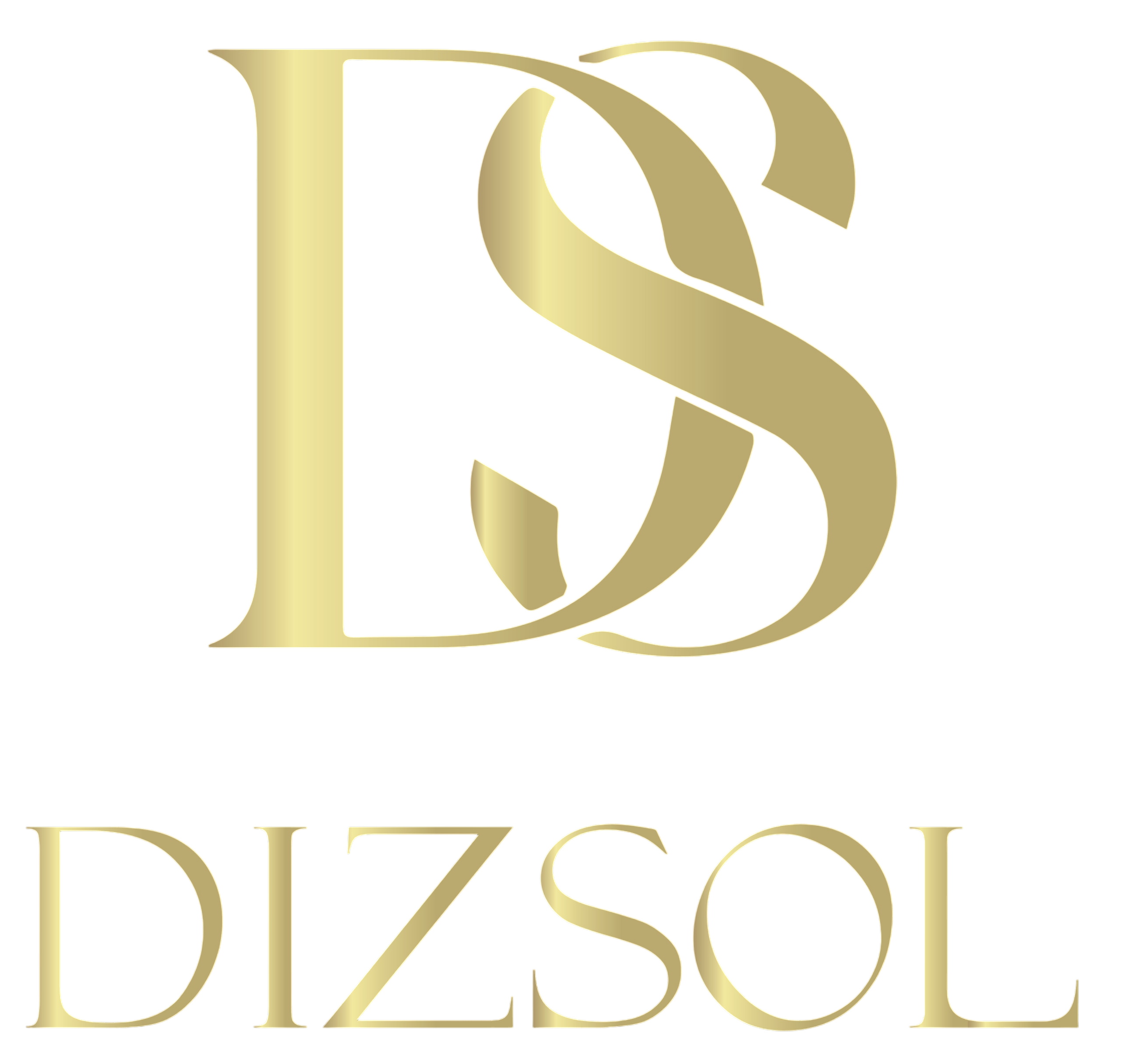DIZSOL